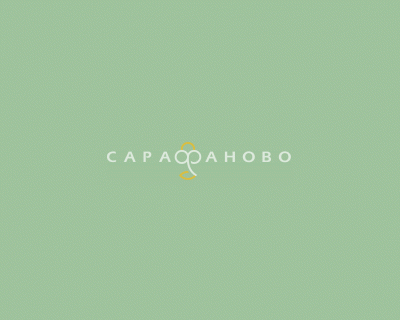 ТиСи 20/80 салатовый 0123
